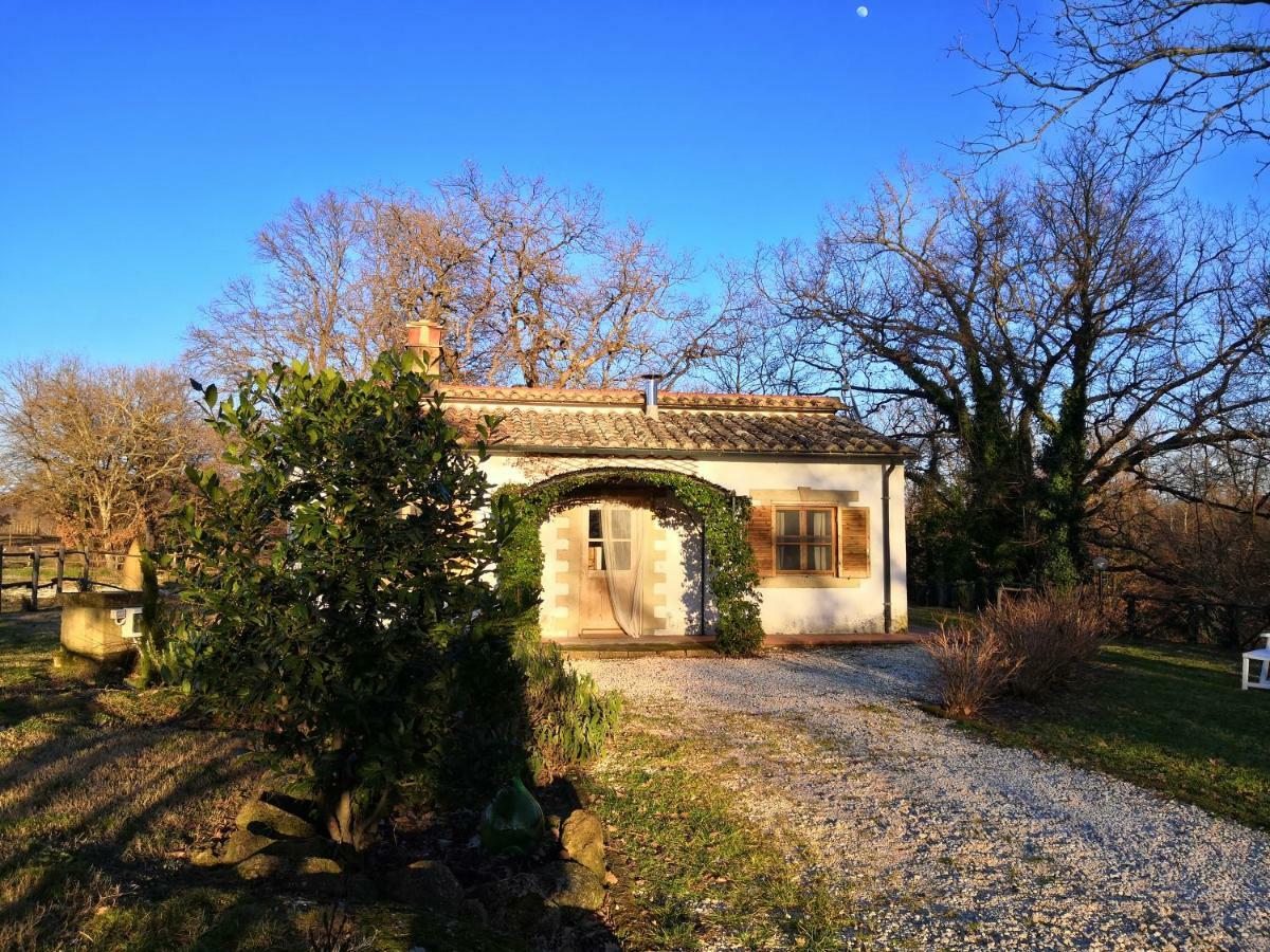 Maremma Country Chic Le Ginestre Villa Sovana Luaran gambar